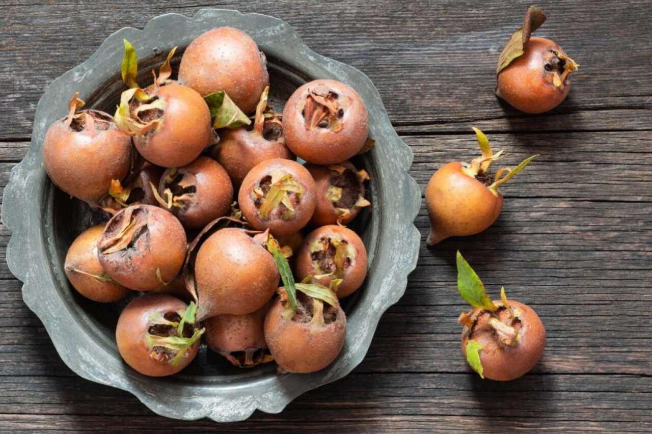 Əzgilin bu faydaları