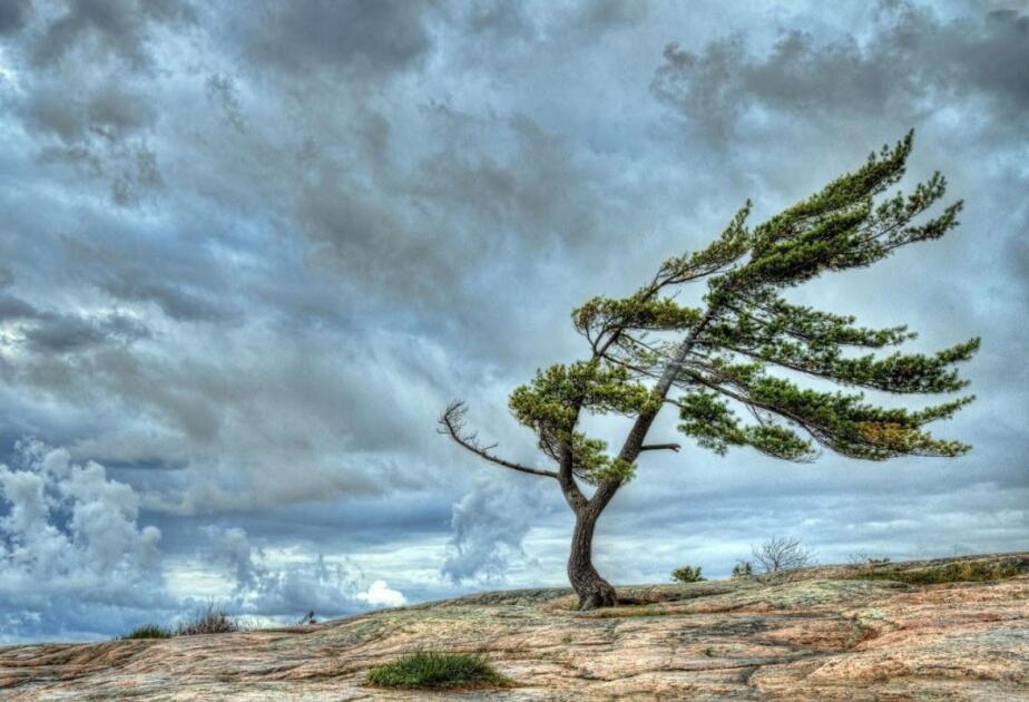 Güclü külək əsəcək  XƏBƏRDARLIQ