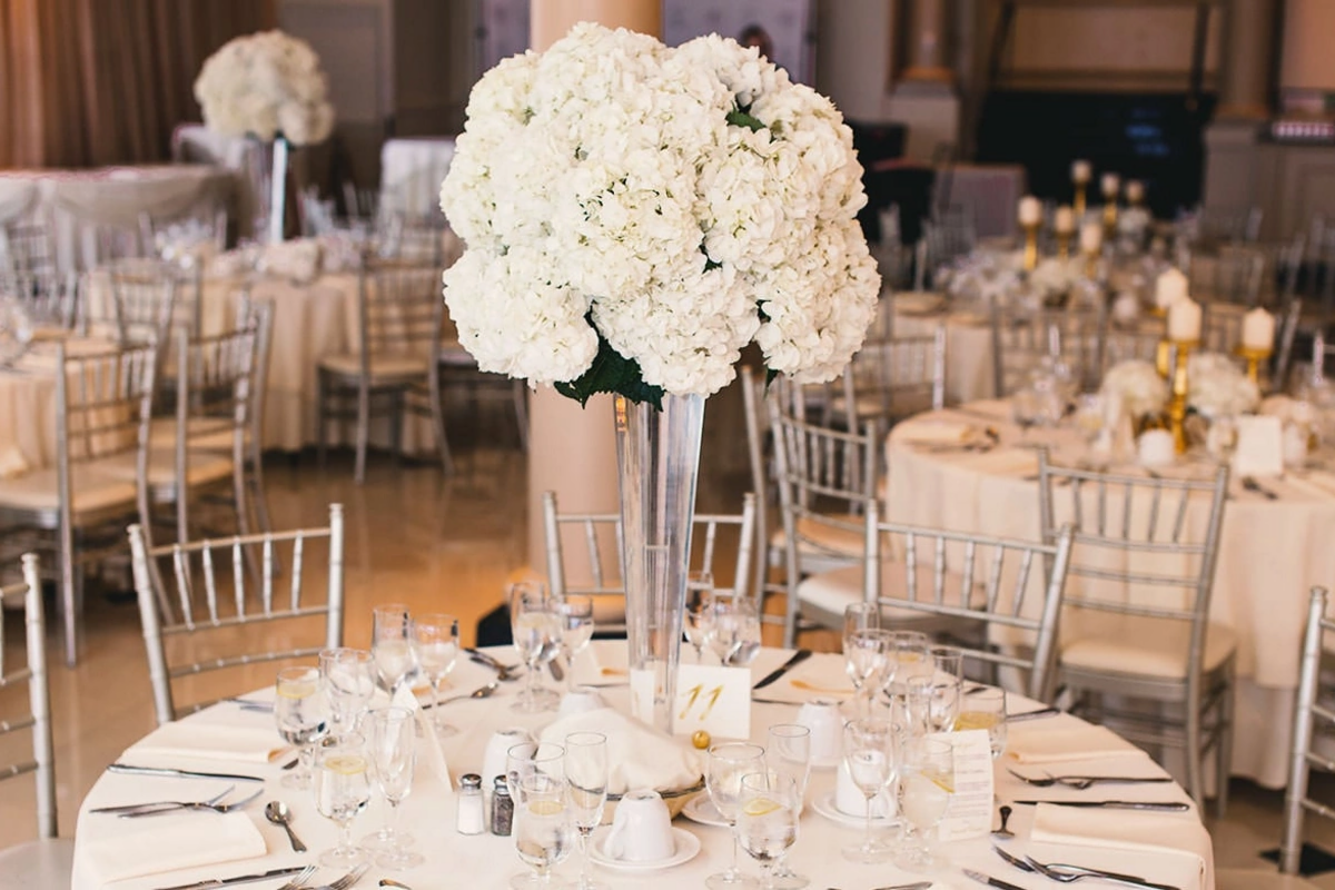 Bu şadlıq evinin fəaliyyəti məhdudlaşdırıldı 