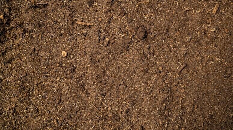 Elm d&uuml;nyasında inqilab: Saniyədə 1000 dəfə d&ouml;nərək elektrik istehsal edən canlı tapıldı