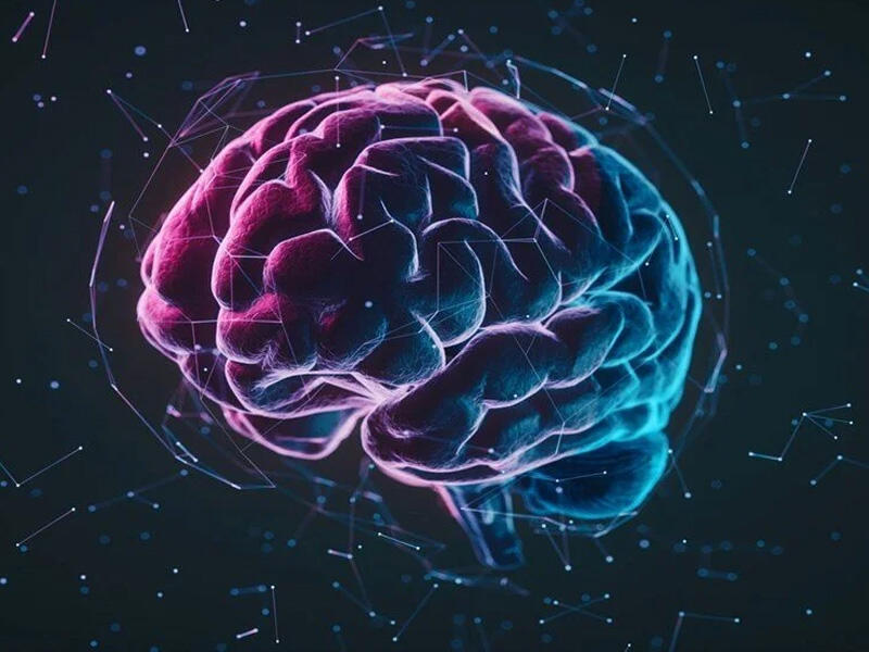 Alimlər beyni gücləndirməyin pulsuz üsulunu tapdılar