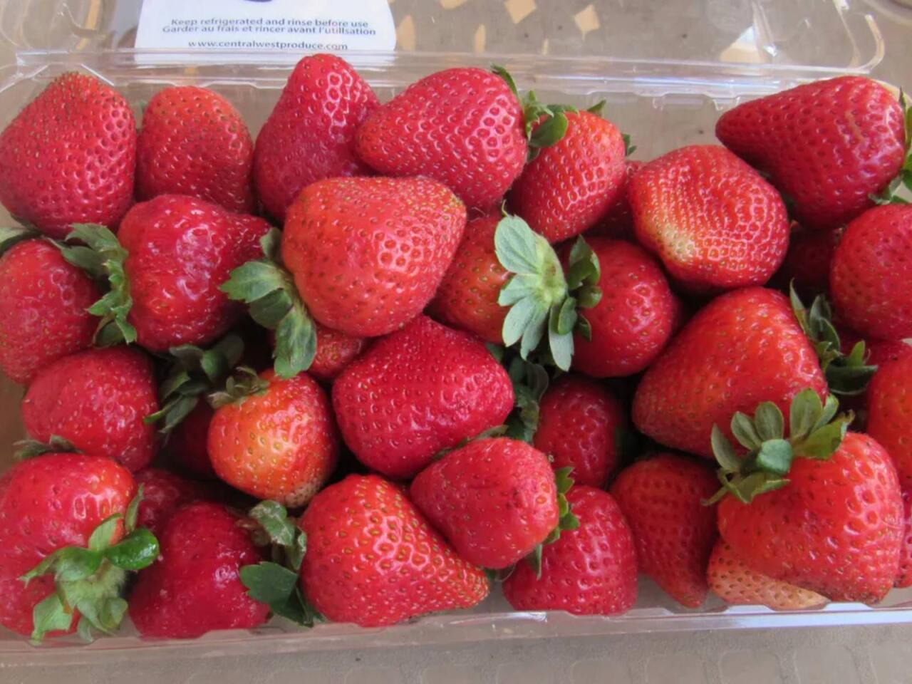 "Yavaşyavaş bizi öldürürlər"  VİDEO