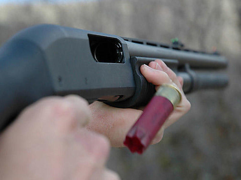 Azərbaycanda ov qaydalarını pozan əcnəbilər saxlanıldı