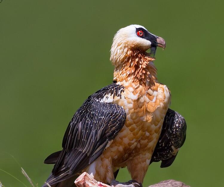 Azərbaycanda fotoqraf bu g&ouml;r&uuml;nt&uuml;lər &uuml;&ccedil;&uuml;n 3 g&uuml;n MAĞARADA QALDI 