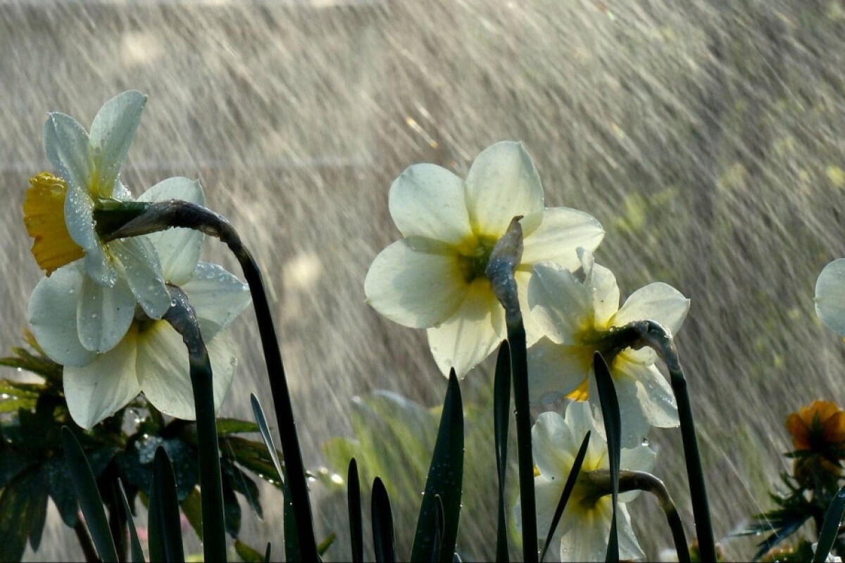 Qeyrisabit hava nə vaxta kimi davam edəcək?