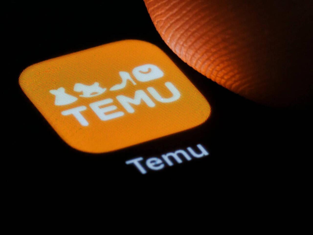 Temudan "yolka" sifariş verdi, görün nə gəldi  FOTO