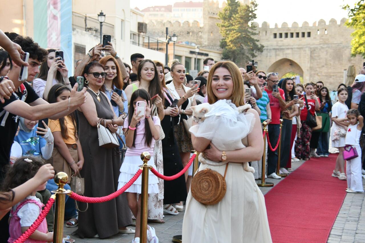 İçərişəhərdə “Küçələrdən Hekayələr” sosial layihəsinin açılışı baş tutdu 