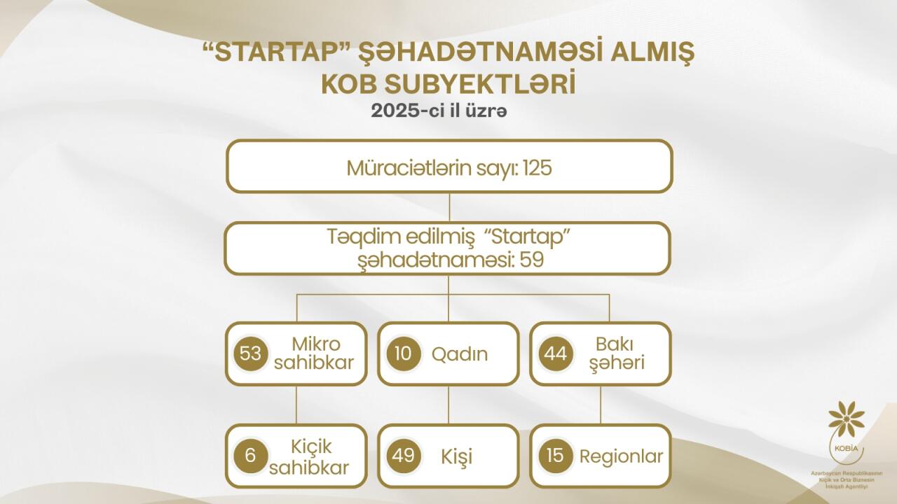 2025ci ildə 59 mikro və ki&ccedil;ik sahibkar innovativ layihələr &uuml;zrə vergi g&uuml;zəştləri əldə edib