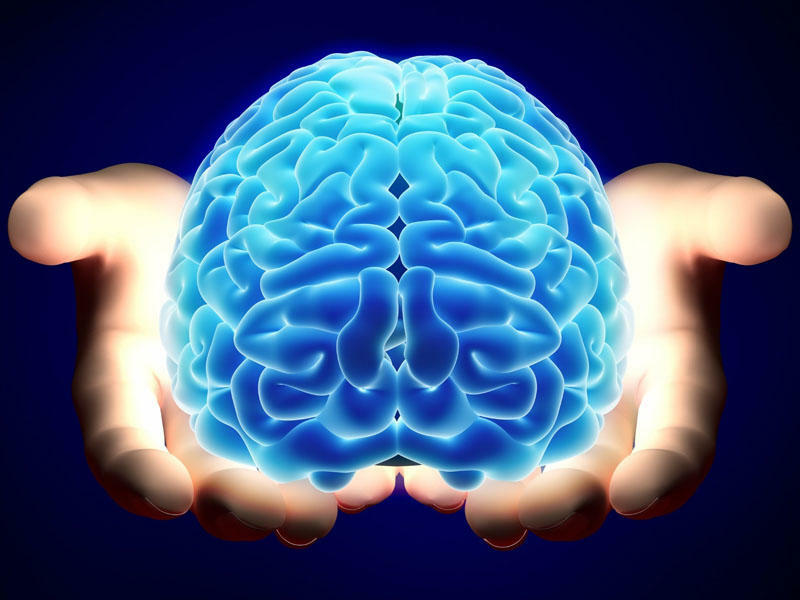 Bədənimiz barədə 20 şok fakt  Beyinin tutumu nə qədərdir?