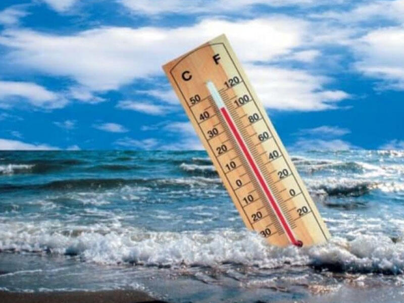 2021ci ildə okeanların temperaturu rekord səviyyəyə çatıb