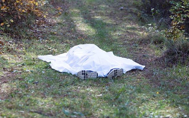 G&ouml;yg&ouml;ldə 40 yaşlı kişini &ouml;ld&uuml;rməkdə ş&uuml;bhəli bilinən şəxs saxlanılıb