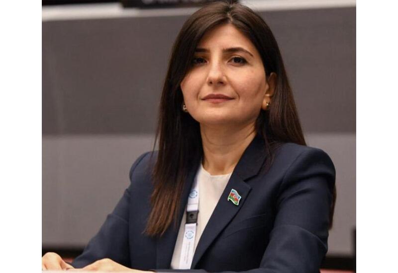 Zəfər bayrağı azad torpaqlarımızda qürurla dalğalanır  Sevil Mikayılova