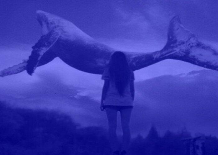 "Mavi balina" oyununun qurbanı olan 13 yaşlı Kəmalənin ad günündən