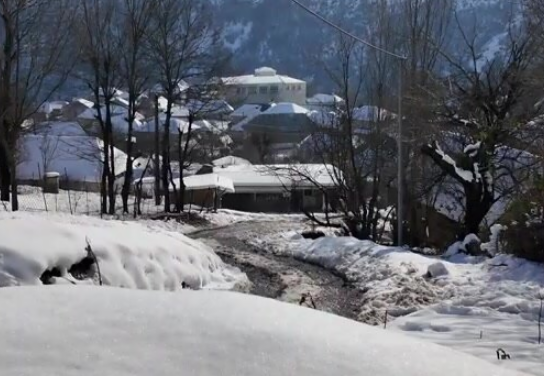 Gənclər Lənkəranın dağ kəndlərini niyə tərk edir? 