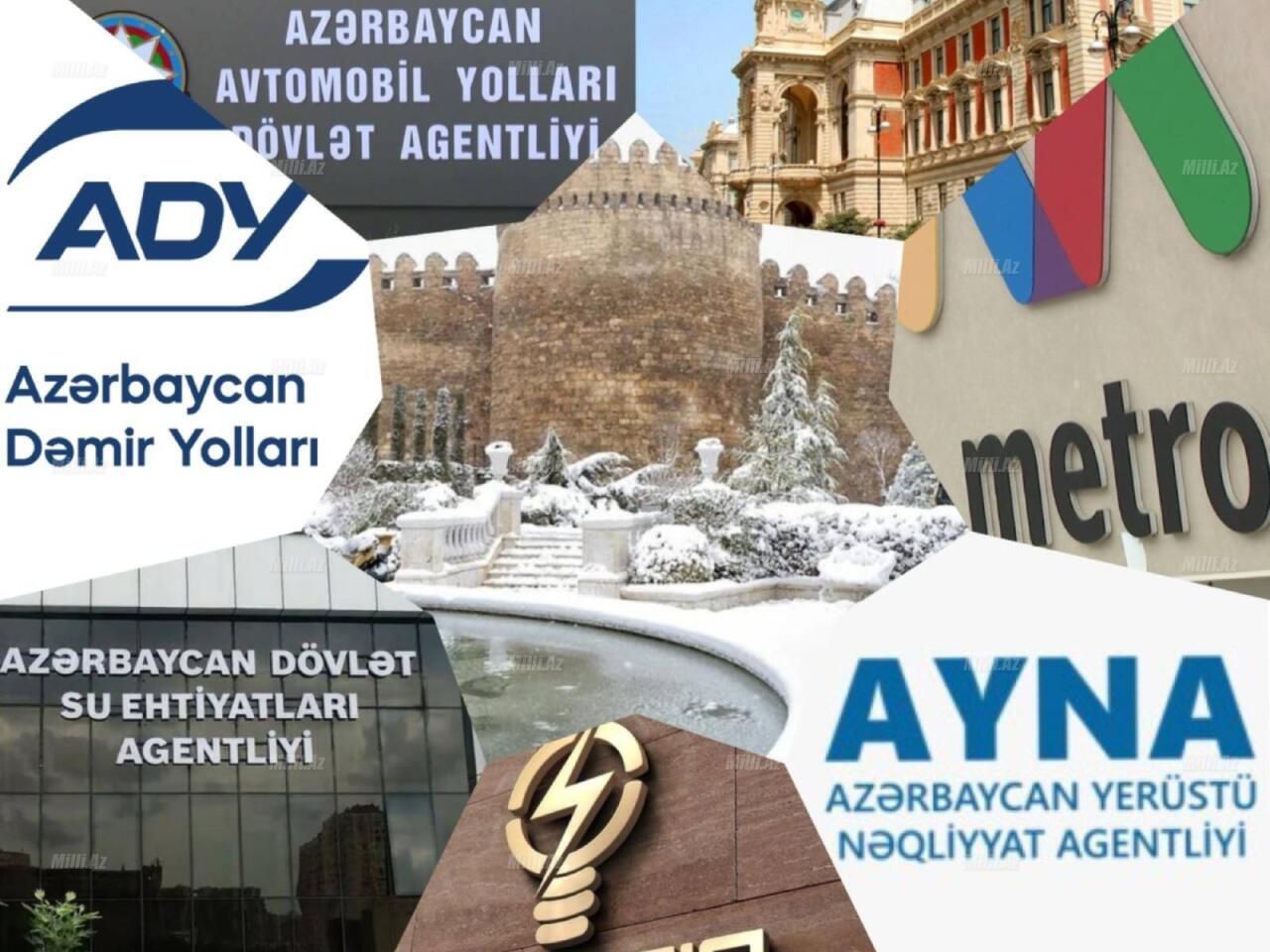 Qurumlar qışa necə hazırlaşır?  Açıqlama