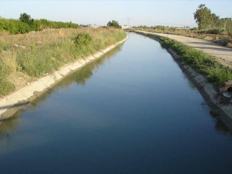 Tərtərdə kanalda batan 87 yaşlı qadının