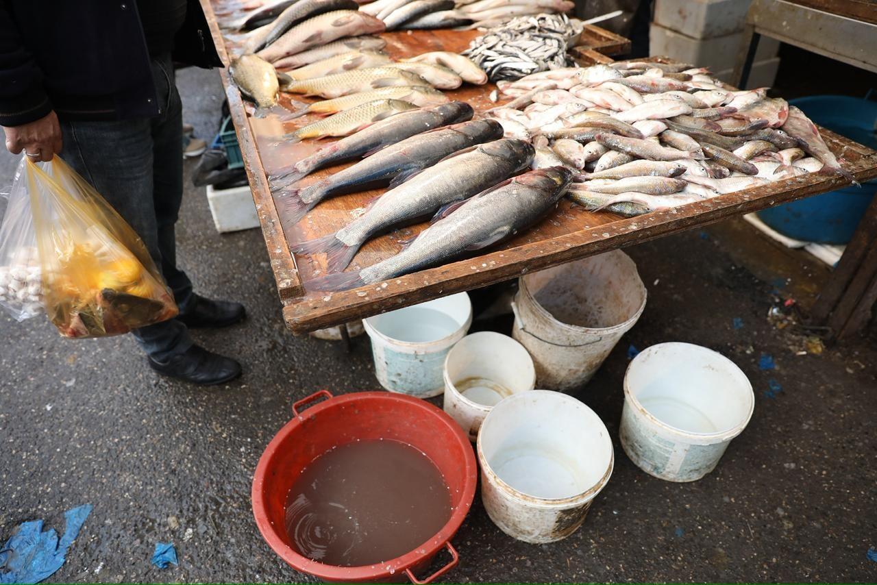 "8ci km" bazarında antisanitar vəziyyət hökm sürür  AQTA 