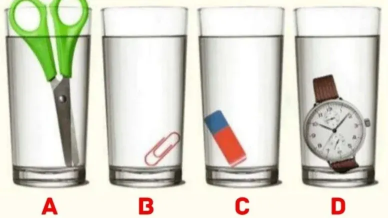 Nə dərəcədə ağıllı olduğunuzu &ouml;yrənmək &uuml;&ccedil;&uuml;n stəkanlardan birini se&ccedil;in: Psixoloji analiz