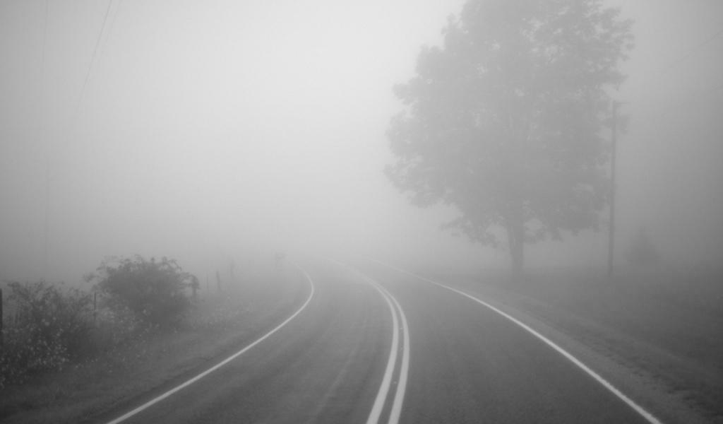 Bəzi ərazilərdə duman m&uuml;şahidə olunur 