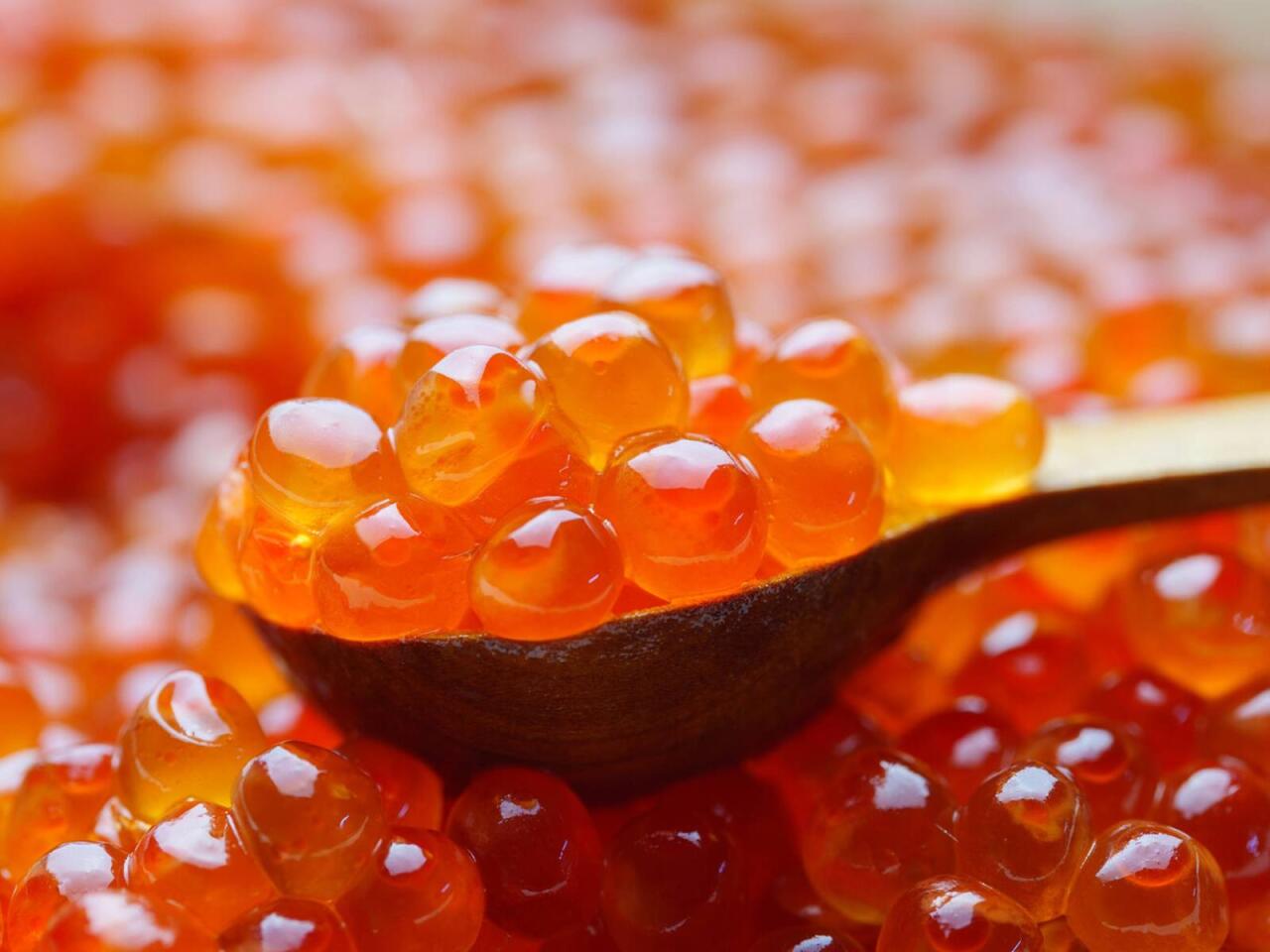 Üzərində E‑239 yazılan kürü almayın  Zəhər saçır