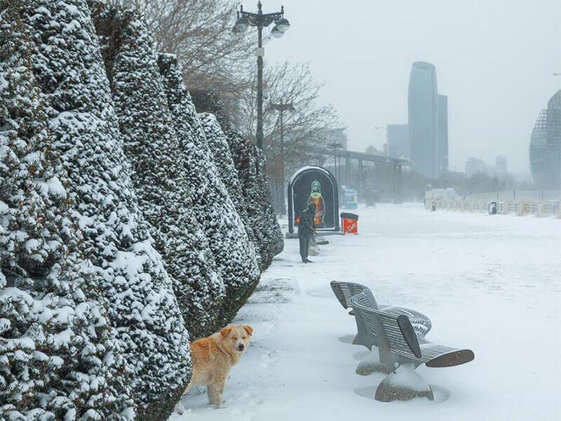 Azərbaycana soyuq hava dalğası gəlir