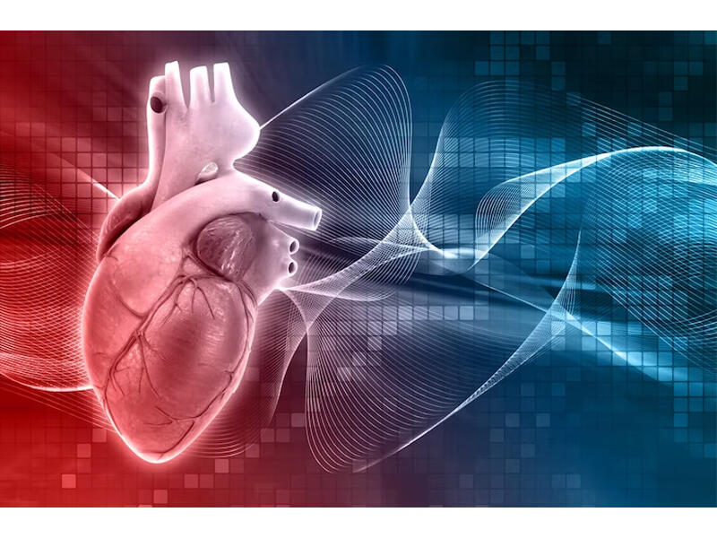 3 min insanın nə yeyibiçdiyini illərlə izlədilər  Ürəyi yormayan qidalar açıqlandı