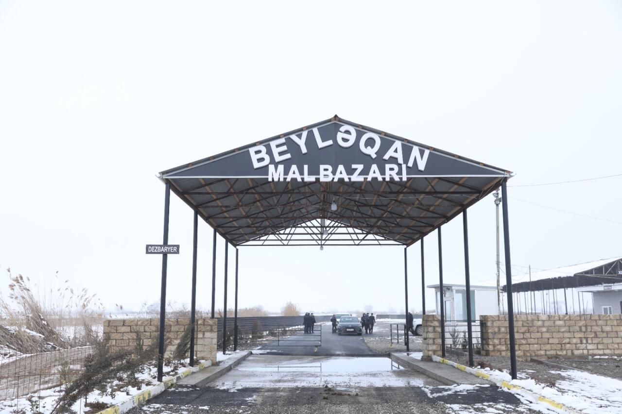 Beyləqan heyvan bazarının fəaliyyətinə icazə verilib