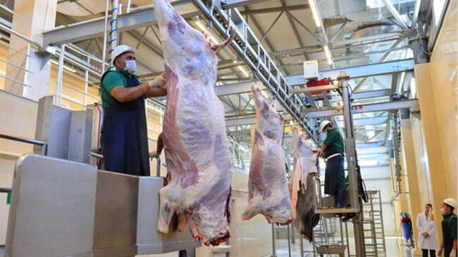 Ət alarkən ehtiyatlı olun  Həyatınıza təhl&uuml;kə ola bilər  A&Ccedil;IQLAMA