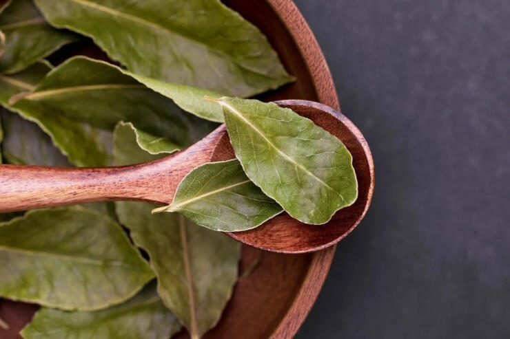 Dəfnə yarpağını evin bu 3 n&ouml;qtəsinə qoyun