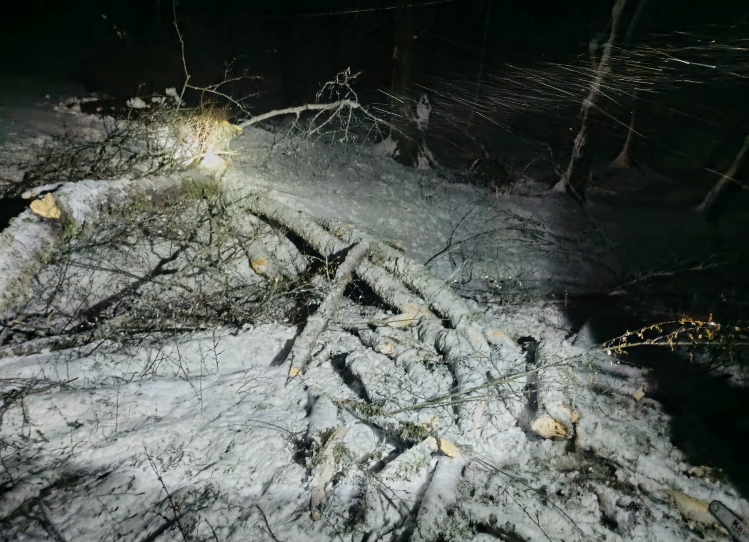 Ağac aşdı  yol bağlandı 