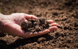 Yeni qayda: D&ouml;vlət vətəndaşdan və bələdiyyədən torpaq ala biləcək