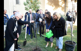 “ART Weekend” çərçivəsində “Püstə: canlı irs” performansı təqdim edilib 