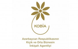 KOBİAnın təşəbbüsü ilə 7 istiqamət üzrə daxili bazar araşdırması aparılıb