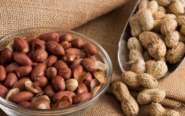 Beyin damarlarının fəaliyyətinə