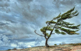 Güclü külək əsəcək  XƏBƏRDARLIQ