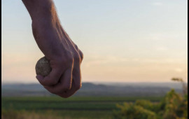 İçində sərnişinlər olan qatara daş atan yeniyetmələr tapıldı