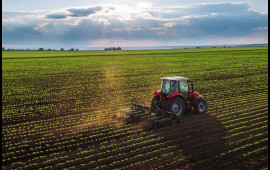 Əkin sahələrinin yandırılmasına görə cərimələr artırılır