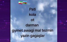 Əcnəbilər sosial şəbəkələrdə narkotik satışı ilə “at oynadırlar” 