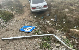 Avtomobil qoyun sürüsünə çırpıldı, Onlarla heyvan tələf oldu  FOTO