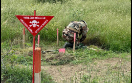 ANAMA əməkdaşı Qazaxda minaya düşdü