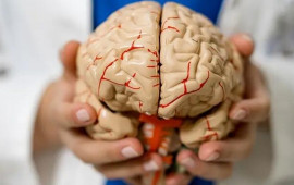 NATOda &ldquo;beynin sındırılması&rdquo; mexanizmləri araşdırılıb