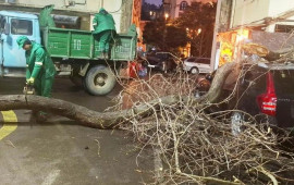 Bakıda davam edən g&uuml;cl&uuml; k&uuml;lək hansı fəsadlara yol a&ccedil;ıb?