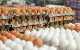 Azərbaycanda yumurtanın qiyməti bahalaşıb?  AÇIQLAMA