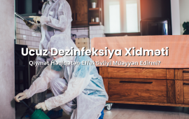 Azərbaycanda etibarlı dezinfeksiya şirkəti necə se&ccedil;ilməlidir?