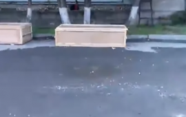 Səfərov qardaşlarının nəşi təhvil verildi 