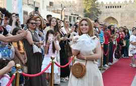 İçərişəhərdə “Küçələrdən Hekayələr” sosial layihəsinin açılışı baş tutdu 