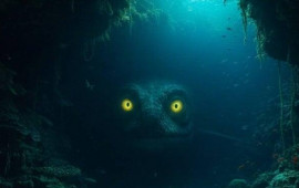 D&uuml;nyanın ən b&ouml;y&uuml;k mağarasında 325 milyon illik "Dəniz Bədheybəti" tapıldı