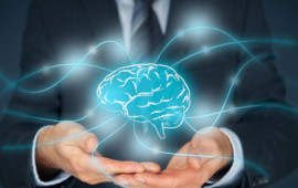 Azərbaycanın əqli mülkiyyət sahəsində dövlət siyasəti örnək göstərildi