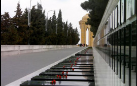 İranlı blogerin Şəhidlər xiyabanındakı hərəkəti qınandı 