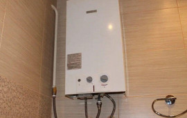 Evində "pitiminutka" olanlar DİQQƏT: Bunları mütləq bilməlisiz